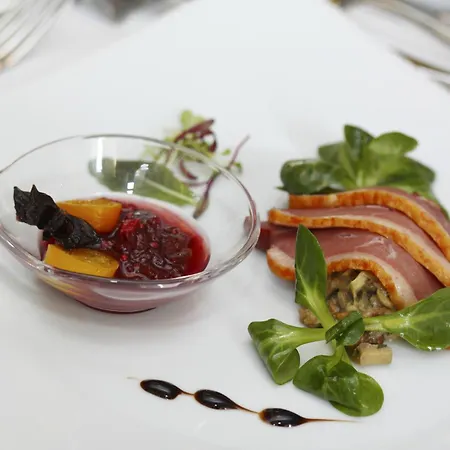 米卡多酒店 尼特拉